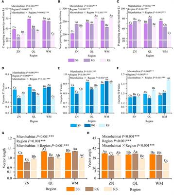 Unraveling plant adaptation to nitrogen limitation from enzyme stoichiometry aspect in Karst soils: a case study of Rhododendron Pudingense